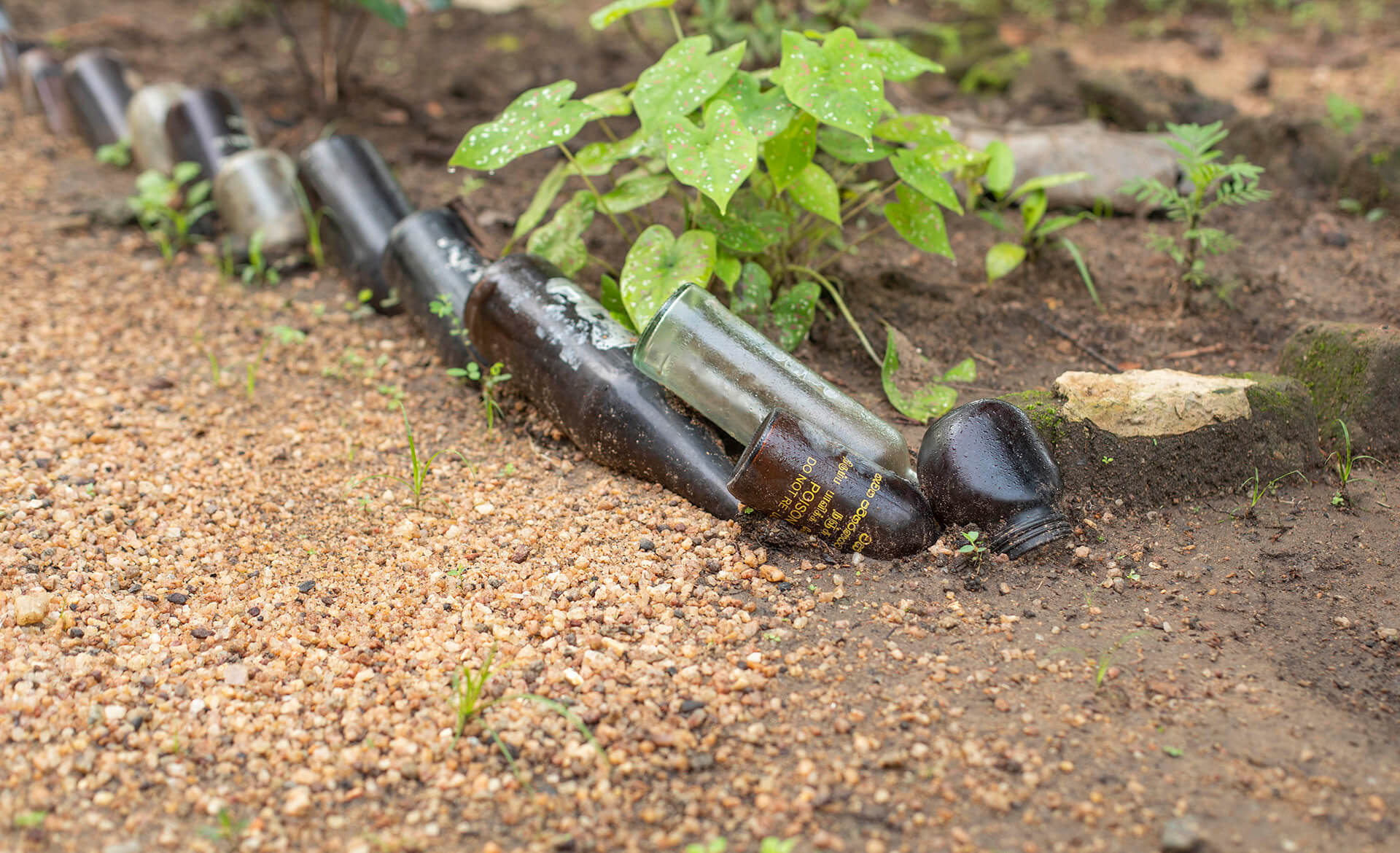 Upturned bottles in soil one showing label with 'Poison'